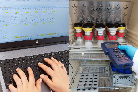 Respiration tests with In situ Organisms Analysis