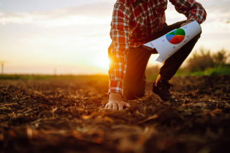 Soil Remediation